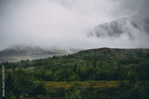 Foggy mountain forest in Iceland