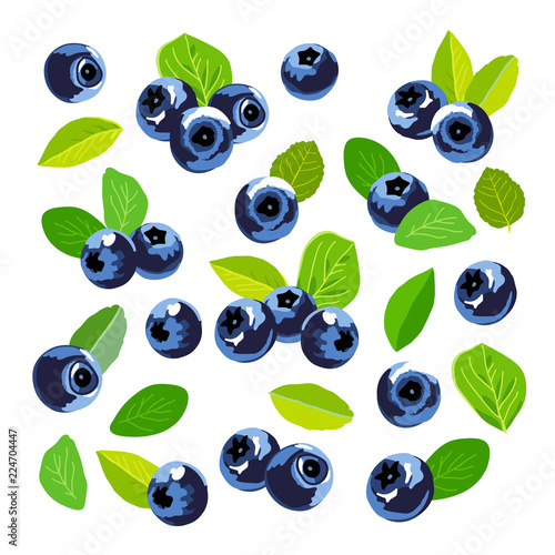 Set of blueberry icons. Elements for design.