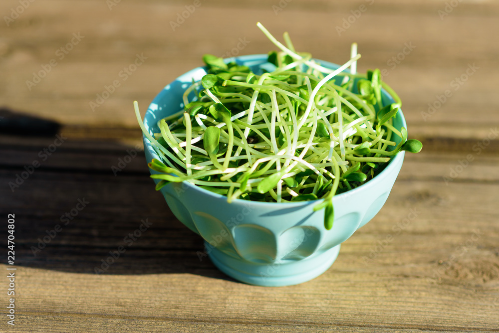 Healthy Green Organic Raw Sunflower sprouts ready for eating or smoothie. Young raw fresh green sprigs in ceramic bowl on rustic wooden table at sunny spring day. Healthy Green Organic Raw Sunflower sprouts ready for eating or smoothie. Young raw fresh green sprigs in ceramic bowl on rustic wooden table at sunny spring day.