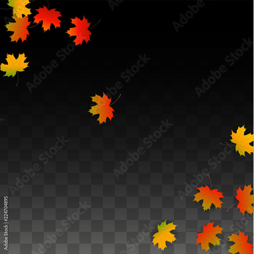 September Vector Background with Golden Falling Leaves. Autumn Illustration with Maple Red, Orange, Yellow Foliage. Isolated Leaf on Transparent Background. Bright Swirl. Suitable for Posters.