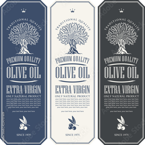 Vector set of three labels for extra virgin olive oil with olive tree, olive sprig and place for text in figured frame in retro style.