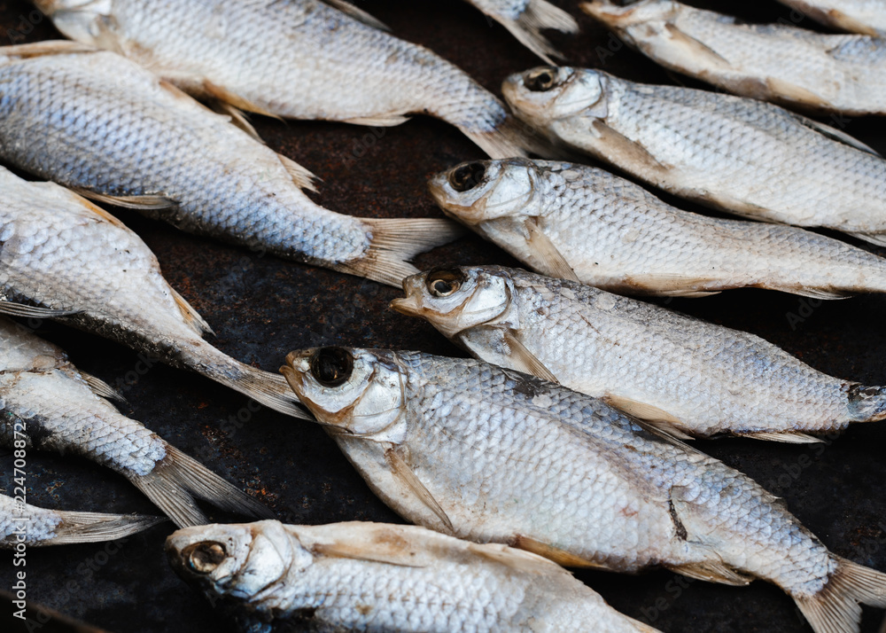 Obraz premium dry fish