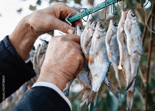 Photography dried fish