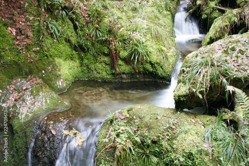 Black forest Watterfal photo