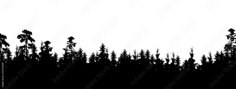 Realistic silhouette of tree top in coniferous forest, with space for text - Isolated on white background Realistic silhouette of tree top in coniferous forest, with space for text - Isolated on white background