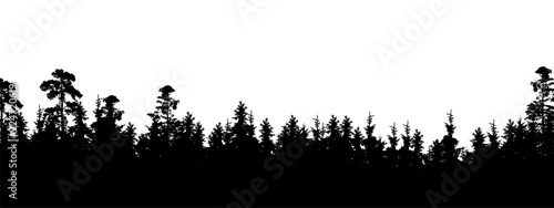 Realistic silhouette of tree top in coniferous forest, with space for text - Isolated on white background
