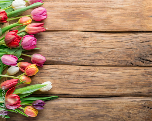 Tulip frame. Spring background.