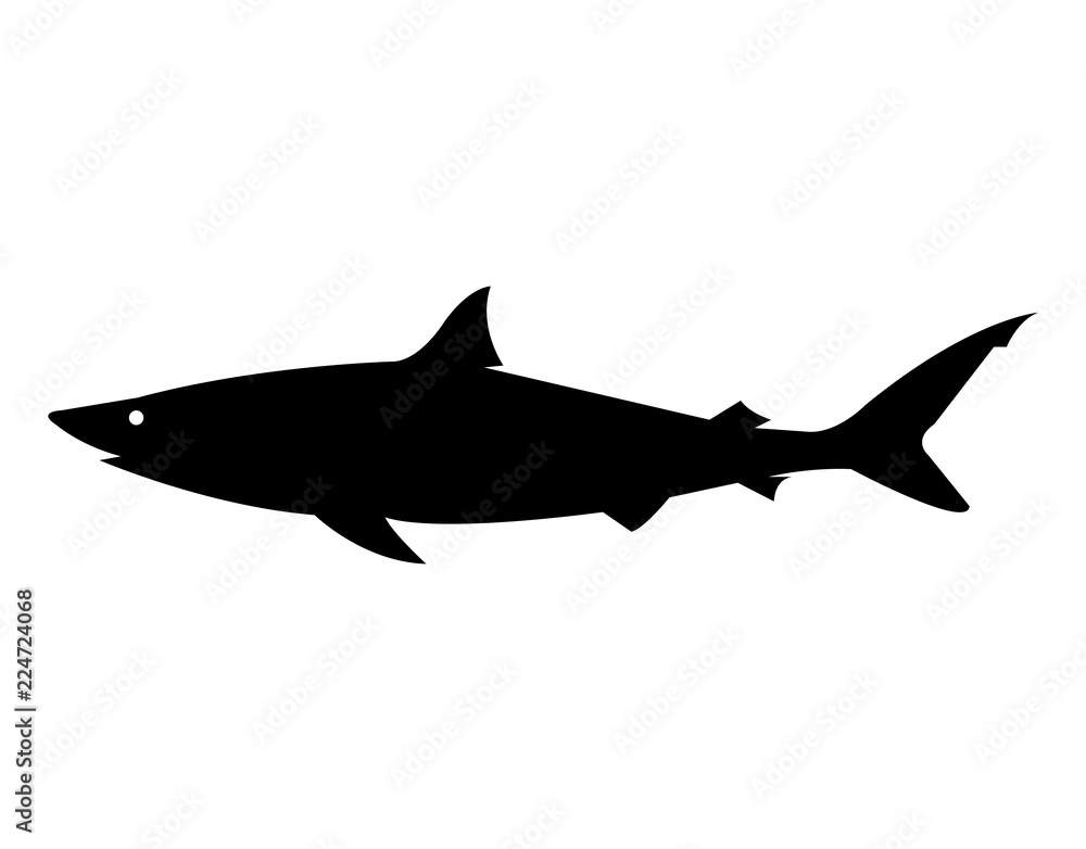 Black silhouette of a shark, isolated on white background
