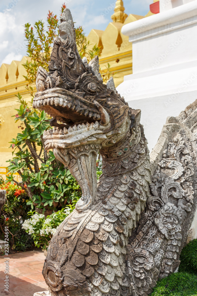 Fototapeta premium The dragon's head at the Pha that luang temple. Laos. Vientiane.