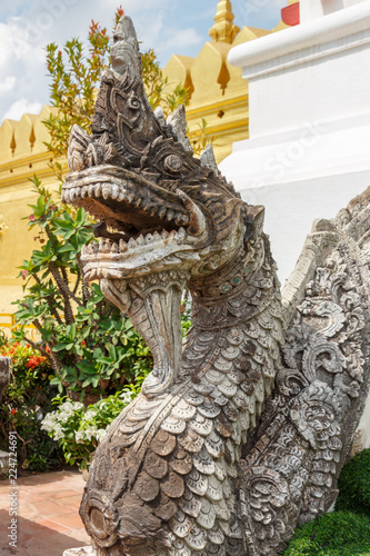 The dragon's head at the Pha that luang temple. Laos. Vientiane.