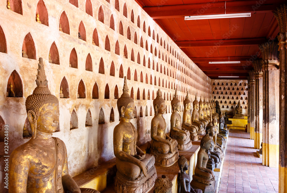 Fototapeta premium Buddha statues at Pha that Luang. Laos. Vientiane.