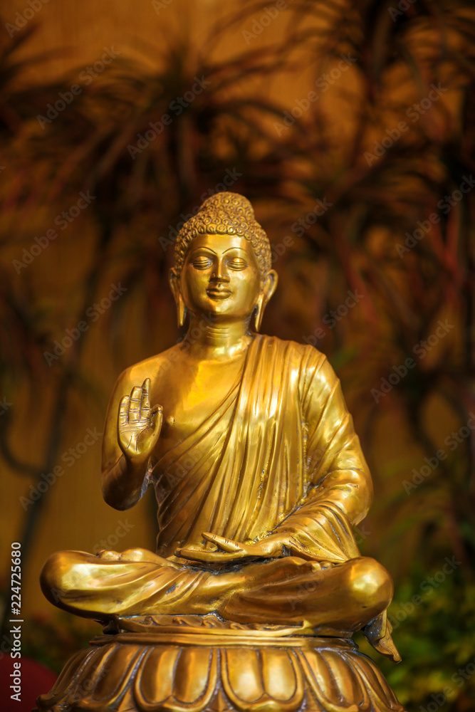Fototapeta premium Lord Budha