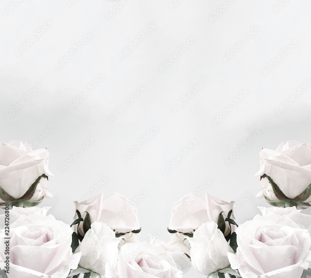 Obraz premium White roses frame with copy space white background