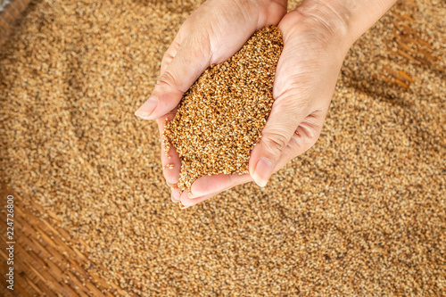 sesame roasted in two hand