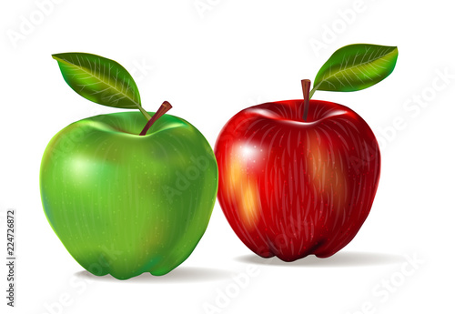A realistic image of 2 fruits: a red apple with a yellow side and a green apple with a skin texture. Set of red and green apples isolated on white background with shadow and lief. Vector illustration