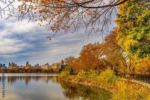 A view of the Central Park in New York in November.