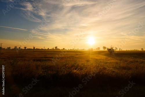 Beautiful sunrise over a golden field © creativefamily