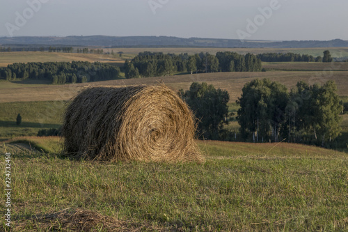 Hay bale on the field on a sunny day. Landscape with golden hay, blue sky, green trees. Harvesting in the fall in Russia. photo