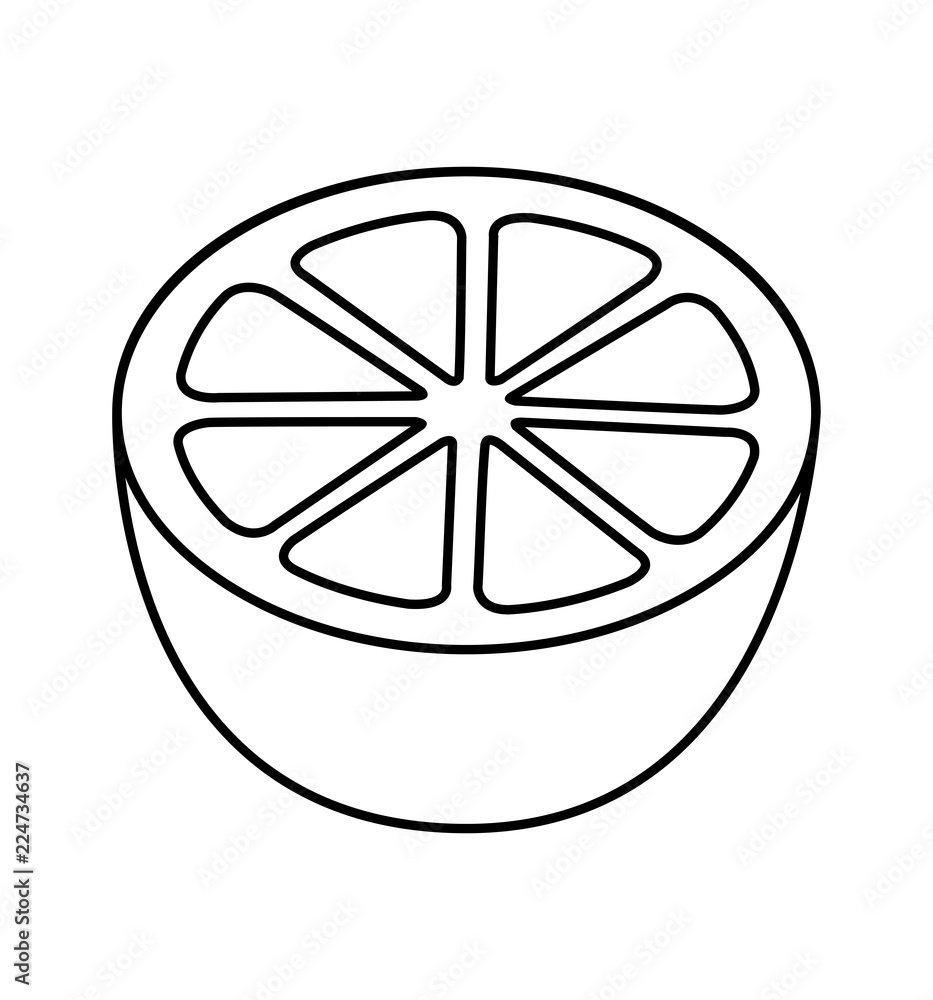Orange icon vector isolated natural symbol Orange icon vector isolated natural symbol