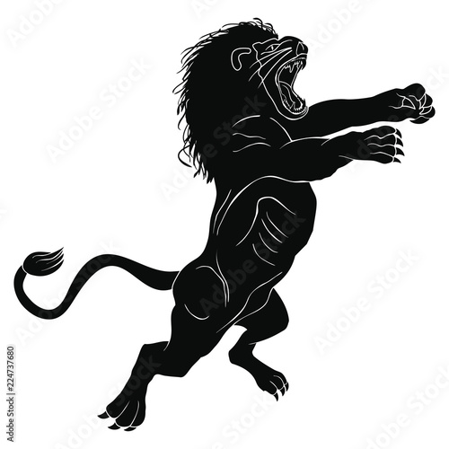 Fototapeta Naklejka Na Ścianę i Meble -  Angry lion with open mouth and teeth jumping isolated on white background.