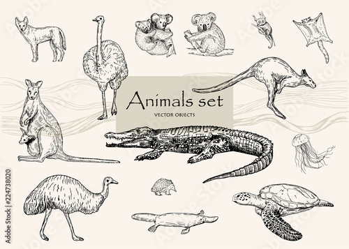 Vector hand drawn monochrome animals set. Pen style vector objects.