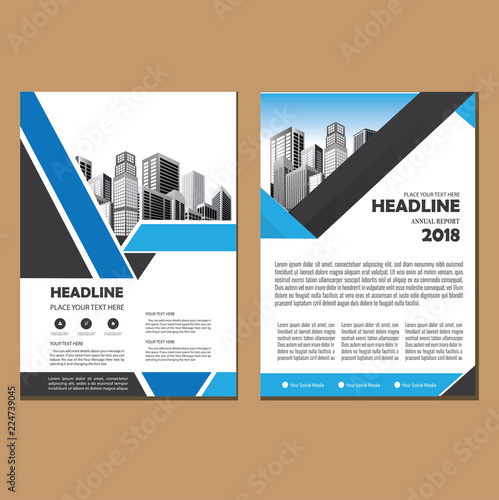 vector design for cover, layout, brochure, magazine, catalog, and flyer 