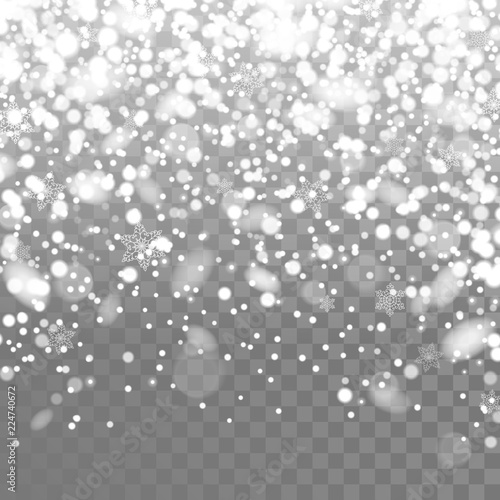 Vector falling snow. Isolated snowflakes on the transparent background