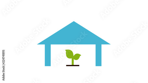 Glasshouse with green plant - Gewächshaus mit grüner Pflanze