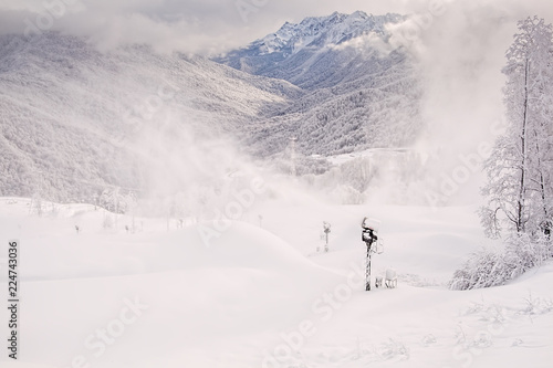 Winter forest in the fog on the backdrop of the Caucasus mountains. Rosa Khutor.