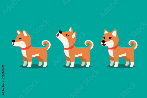 Set of vector cartoon character cute shiba inu dog poses for design.