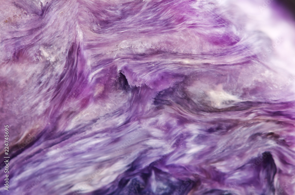 Obraz premium Lilac background. Charoite. Mineral. Crystal. Natural abstract b