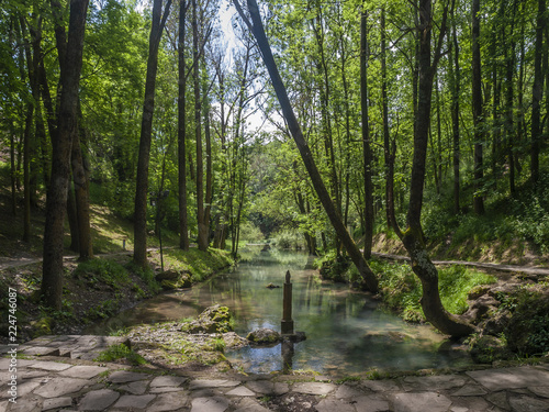 Pequeño monumento a la Virgen del Pilar en el nacimiento del rio Ebro photo