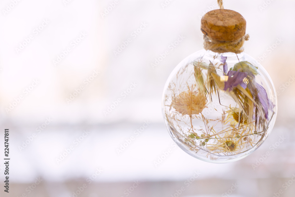 Spa and wellness setting with oil and yellow flower Spa and wellness setting with oil and yellow flower