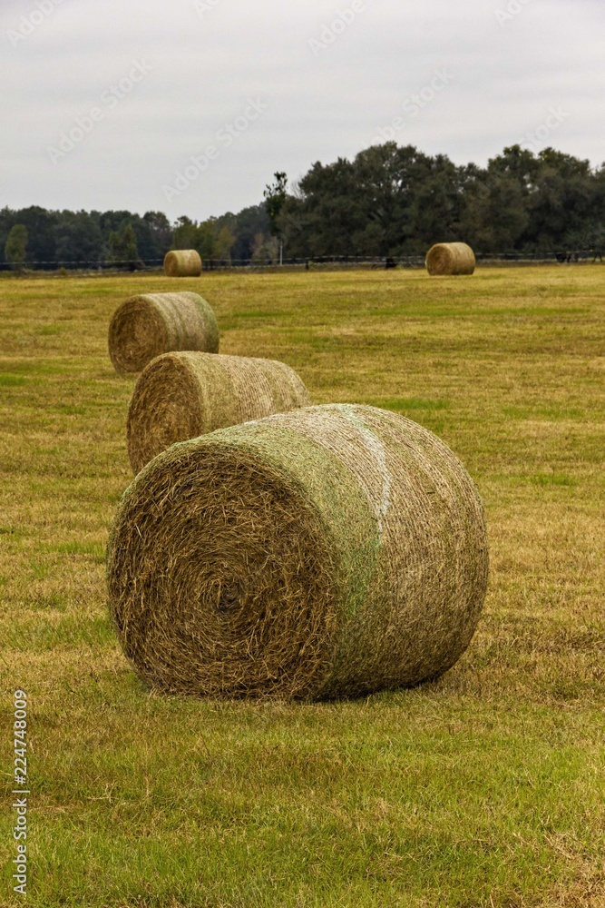 hay roll bales pasture farmland