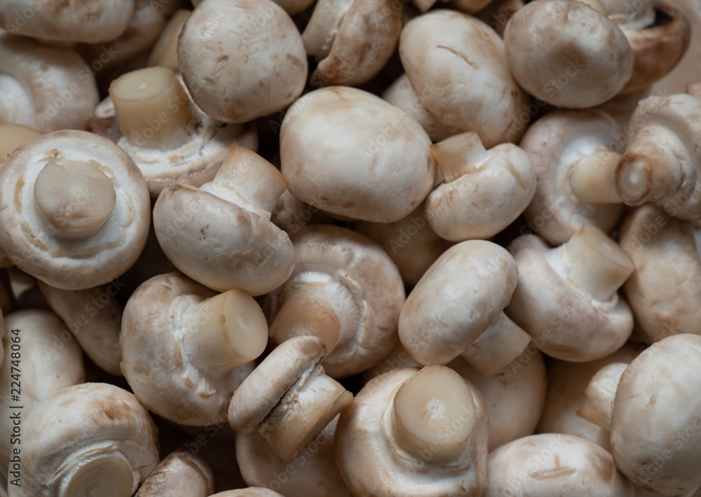 Closeup of raw washed mushrooms - champignons, ready for later cooking. vegetarian menu.