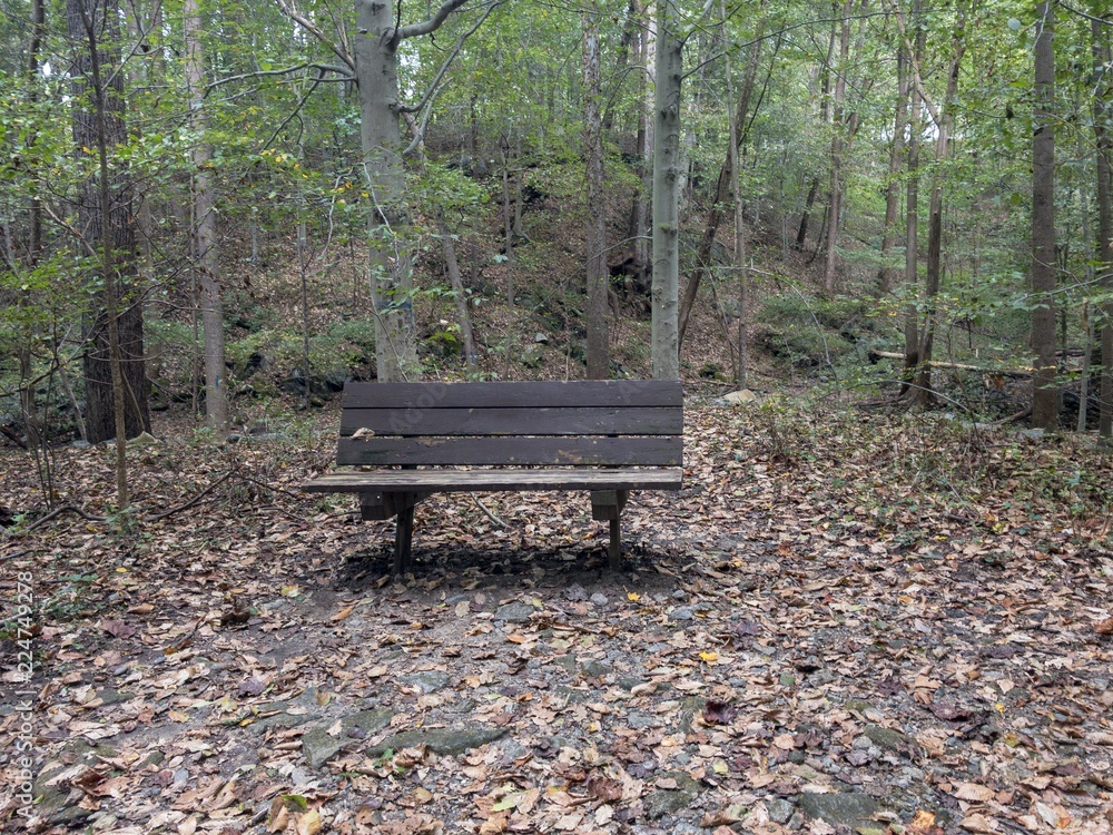 Abadoned Park Bench