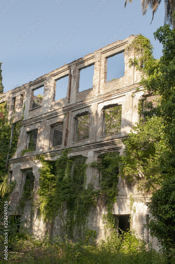 Fototapeta premium The wall of an old stone house covered with plants
