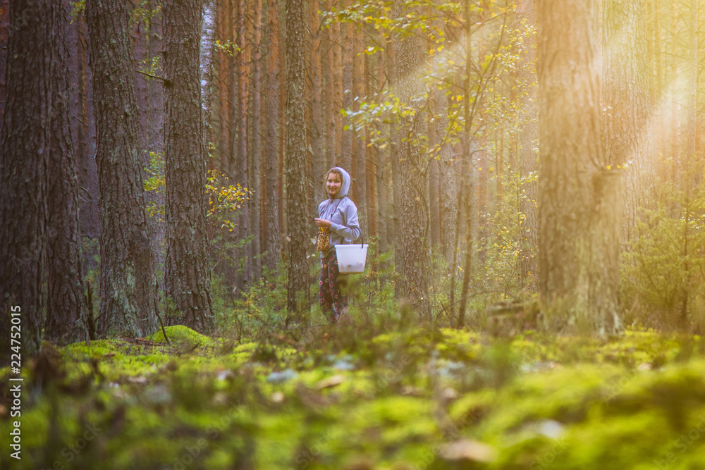Woman walking and finding mashrooms in forest. Woman walking and finding mashrooms in forest.