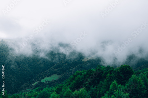 fog in the mountains © Elvira