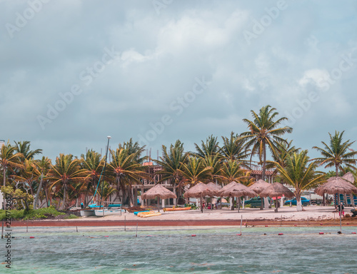 Palm trees on the caribbean sea