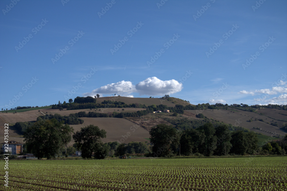 landscape with hills and cloud, agriculture,countryside,blue sky,horizon,panorama,field,rural,view