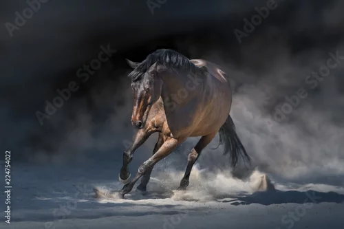 Obraz Ogier w ruchu w pustynnym pyle na dramatick tle