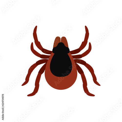 mite