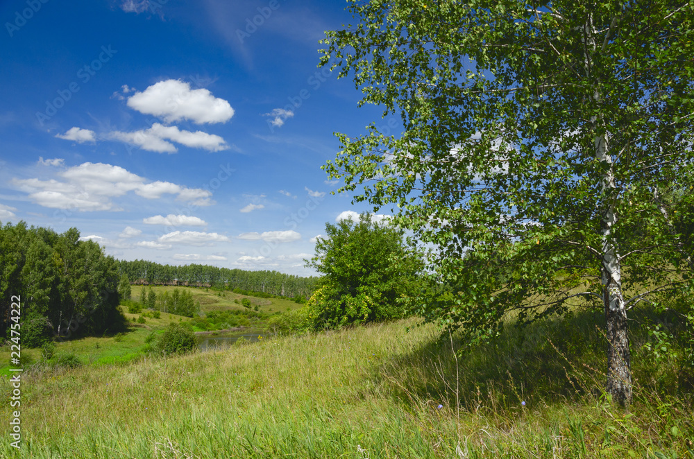 Sunny summer landscape with green hills,birch tree and beautiful woods on a nice day.