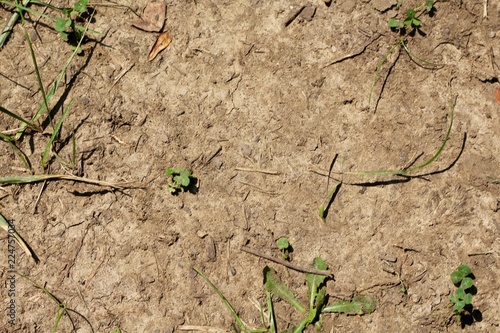 A close view on the dry hard surface of the dirt on ground.