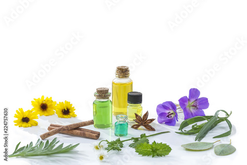 Herbal medicine. Aroma oil bottle with various drugplant flowers and medicinal plants white background