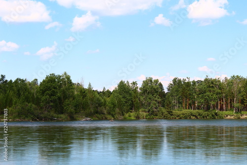 lake in forest