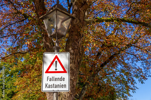 Achtung fallende Kastanien - Kastanienbaum mit Warnschild photo