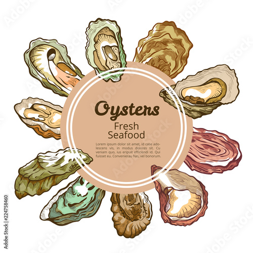 Oyster shell round banner with copy space