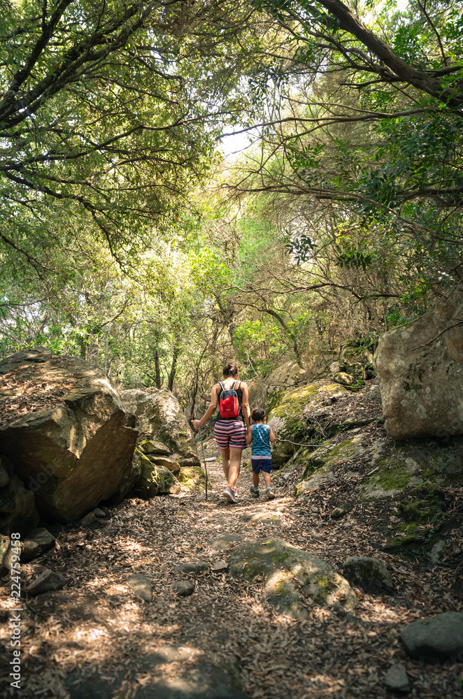 Randonnée en forêt entre une mêre et son petit garcon, région de campomoro, Corse du Sud, France
